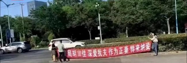 政府门前拉横幅为夫纳妾：上海这位胡女士火了