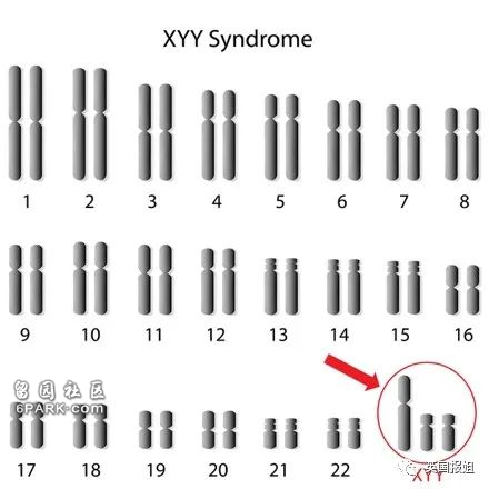 恶魔基因?母亲执意生产 长大后恐怖行径惊吓全网