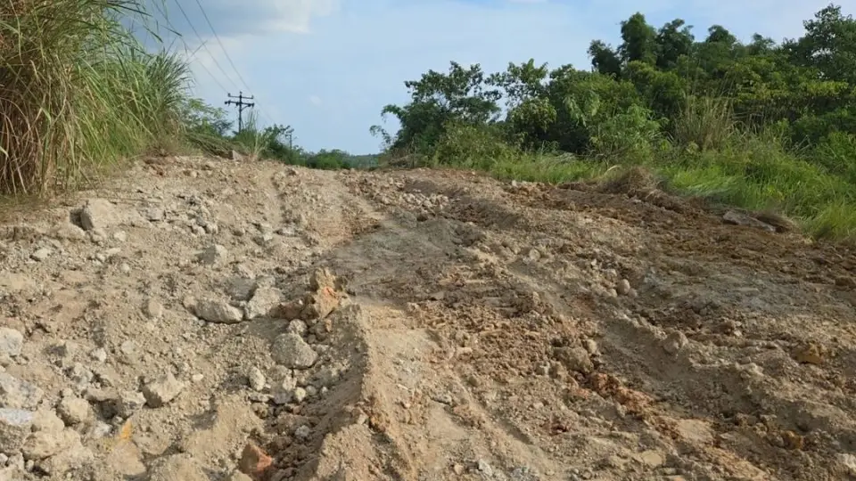 太离谱！ 四川一男子偷了村里的水泥公路