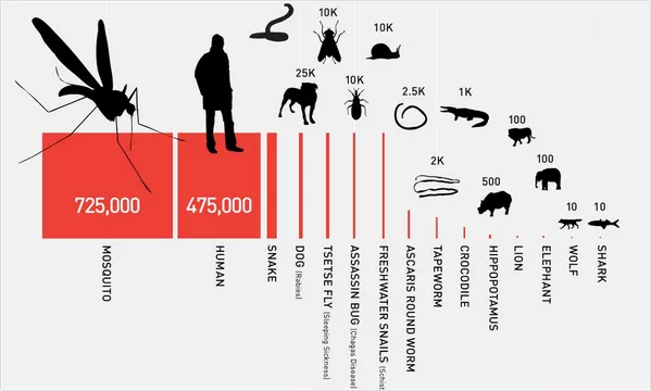 盖茨要用 AI 对付蚊子,人类和蚊子之战迎终局？