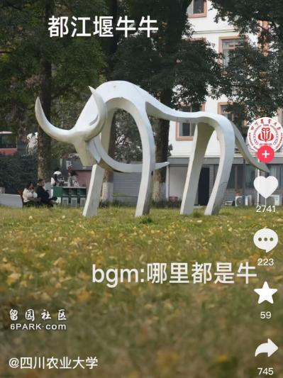 大学生白天上课 晚上“搬牛” 校方:学校传统