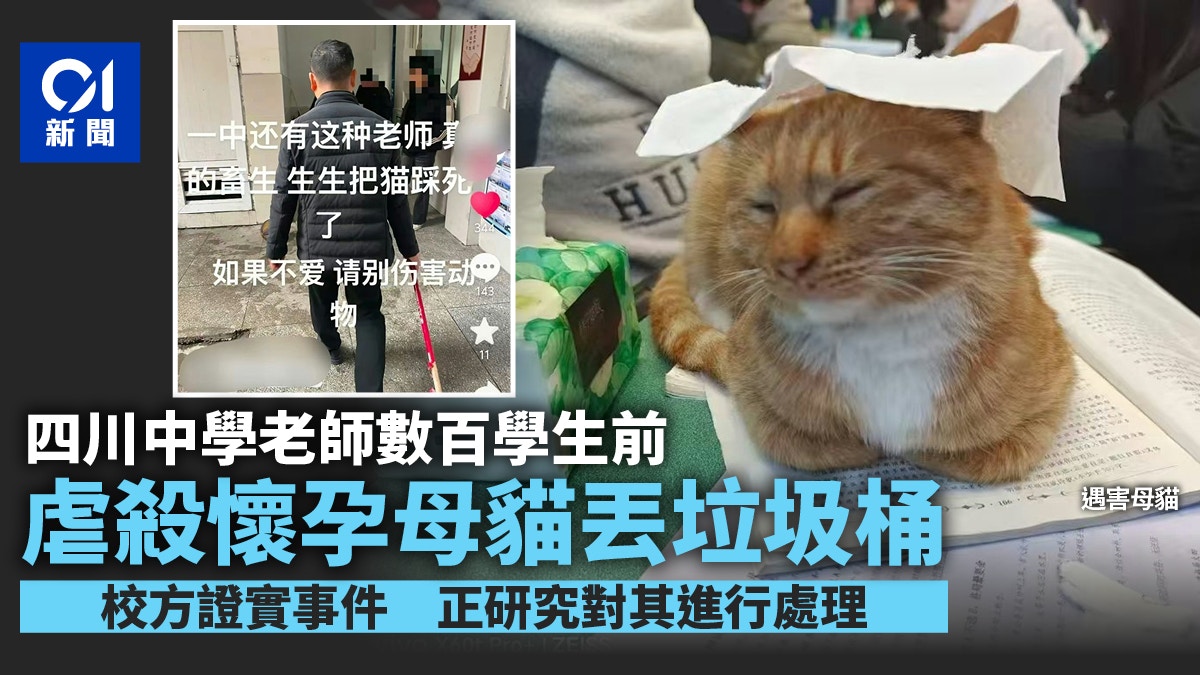 四川老师在数百学生面前虐杀怀孕母猫，踩爆头丢垃圾桶（组图）