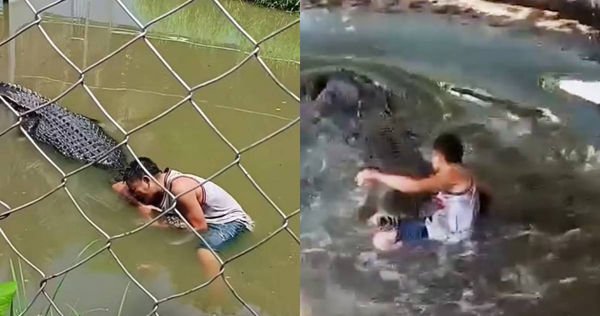 男子把鳄鱼误认成雕像自拍…惨了