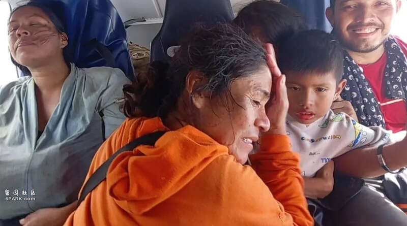 飛機迫降 被鱷魚包圍 36小時真實版亞馬遜歷險記