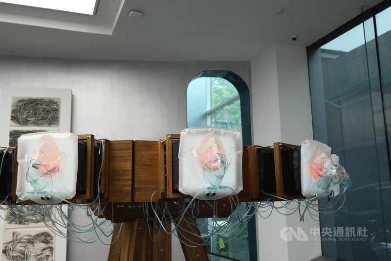 “死亡”艺术展北京登场 盼带动民间多元讨论