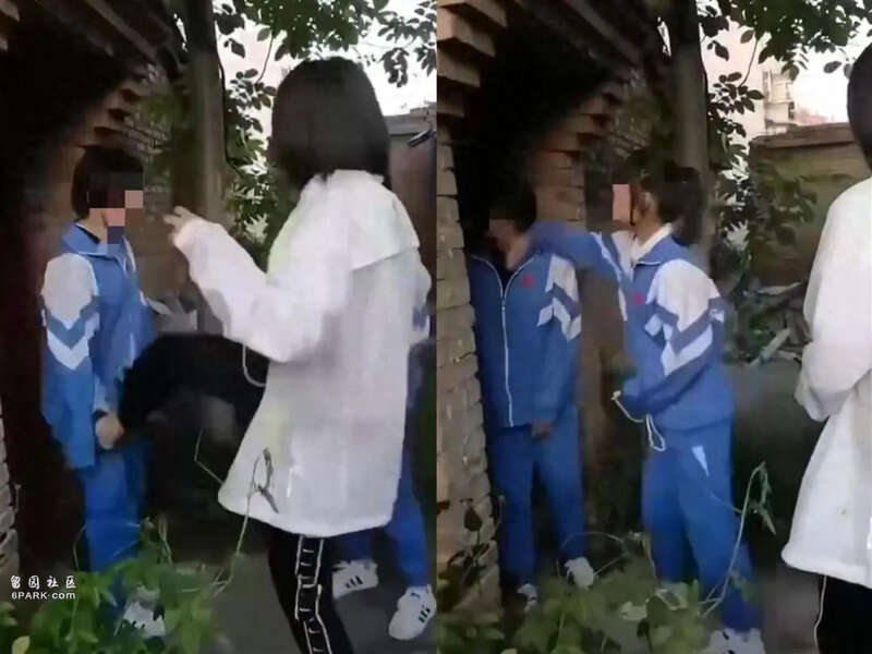甘肃播音统考第一名女生被指参与霸凌同学
