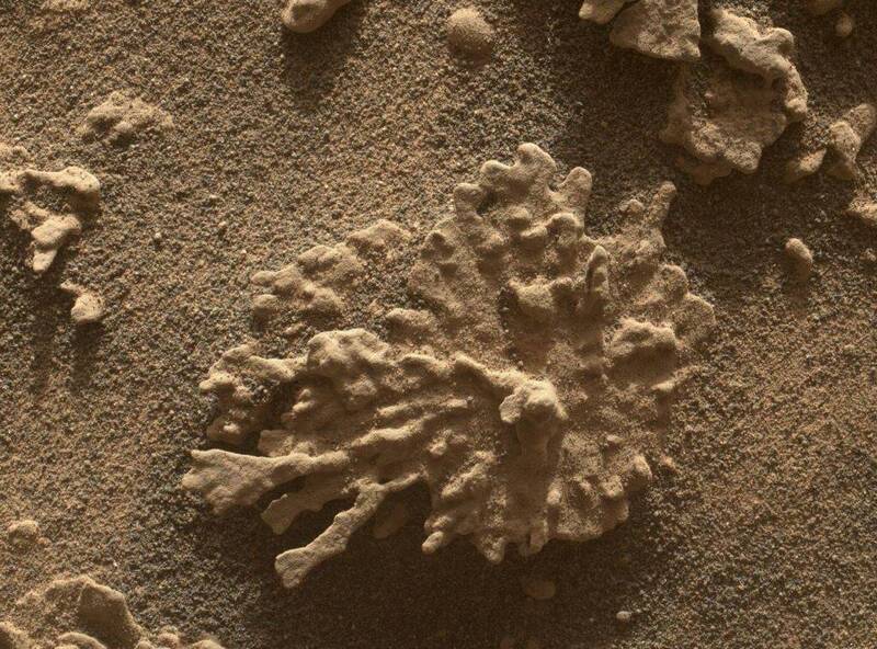 火星惊见「珊瑚岩」！NASA发现水痕 潜藏生命可能