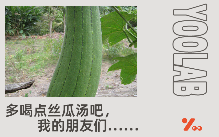 汉堡芯都是丝瓜做的!今年最窒息的梗被玩坏了