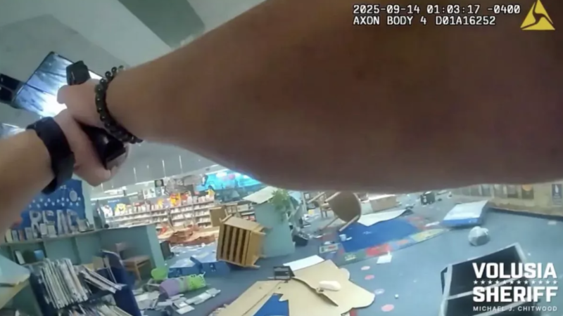 半夜砸图书馆! 亲妈看监控后把熊孩子打包送警局