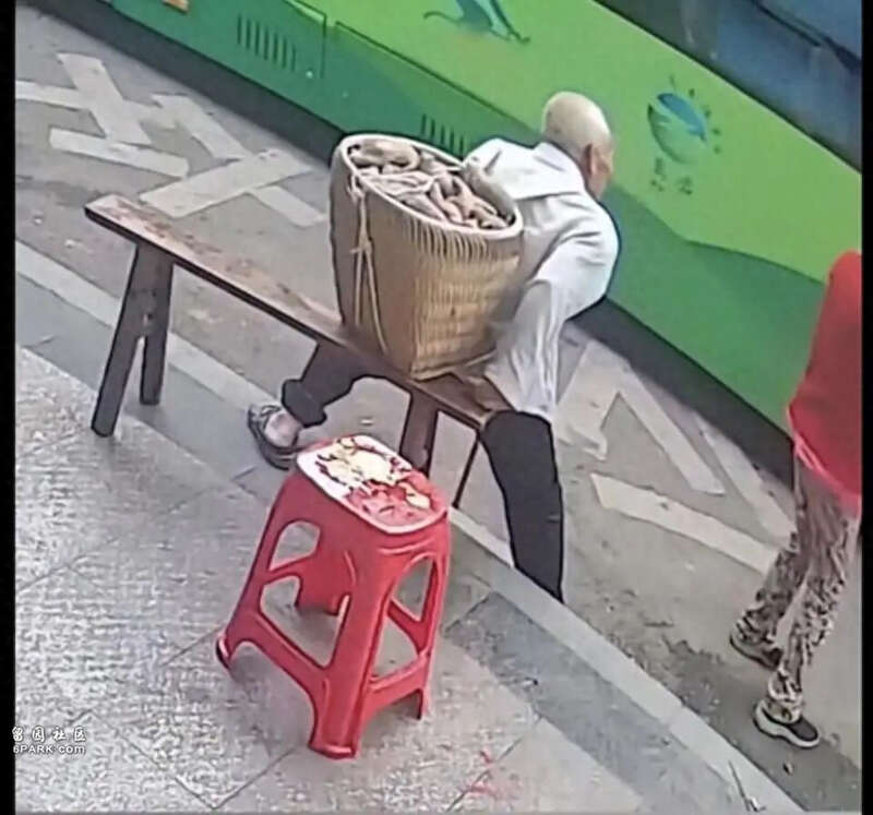 重庆一背篓老人等公交被拒载 当地回应