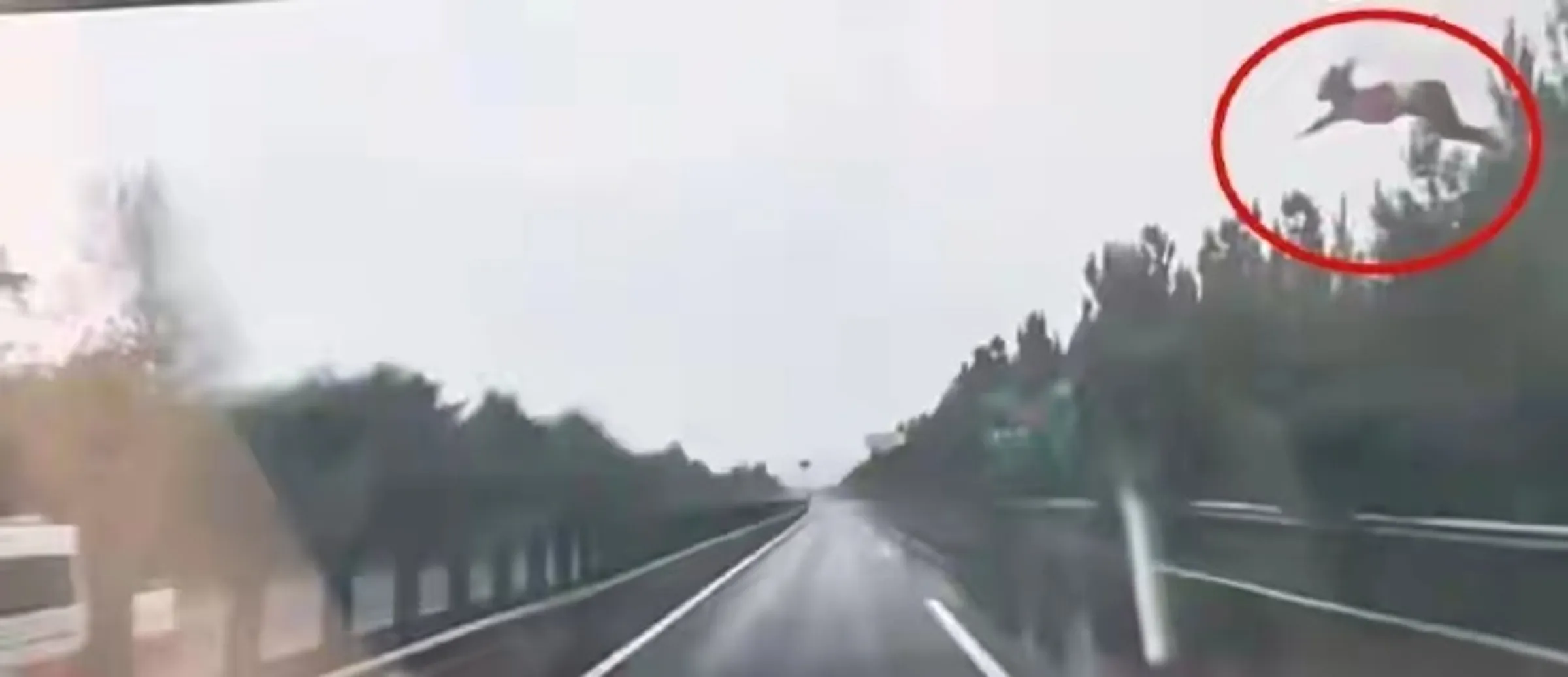 雨天路滑，中国山西发生恐怖车祸