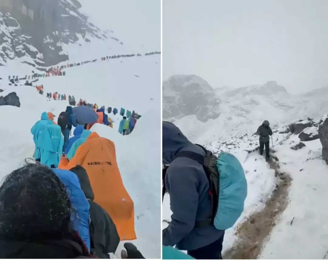 珠峰暴雪中 向导一人一狗带领上百徒步人员撤离