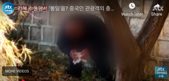中国游客在著名景点当众脱裤大便？网络又炸了