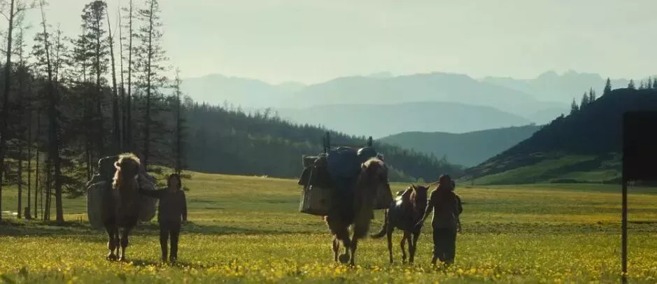 北上廣瘋搶的天價奶皮子，內蒙人看了又氣又笑