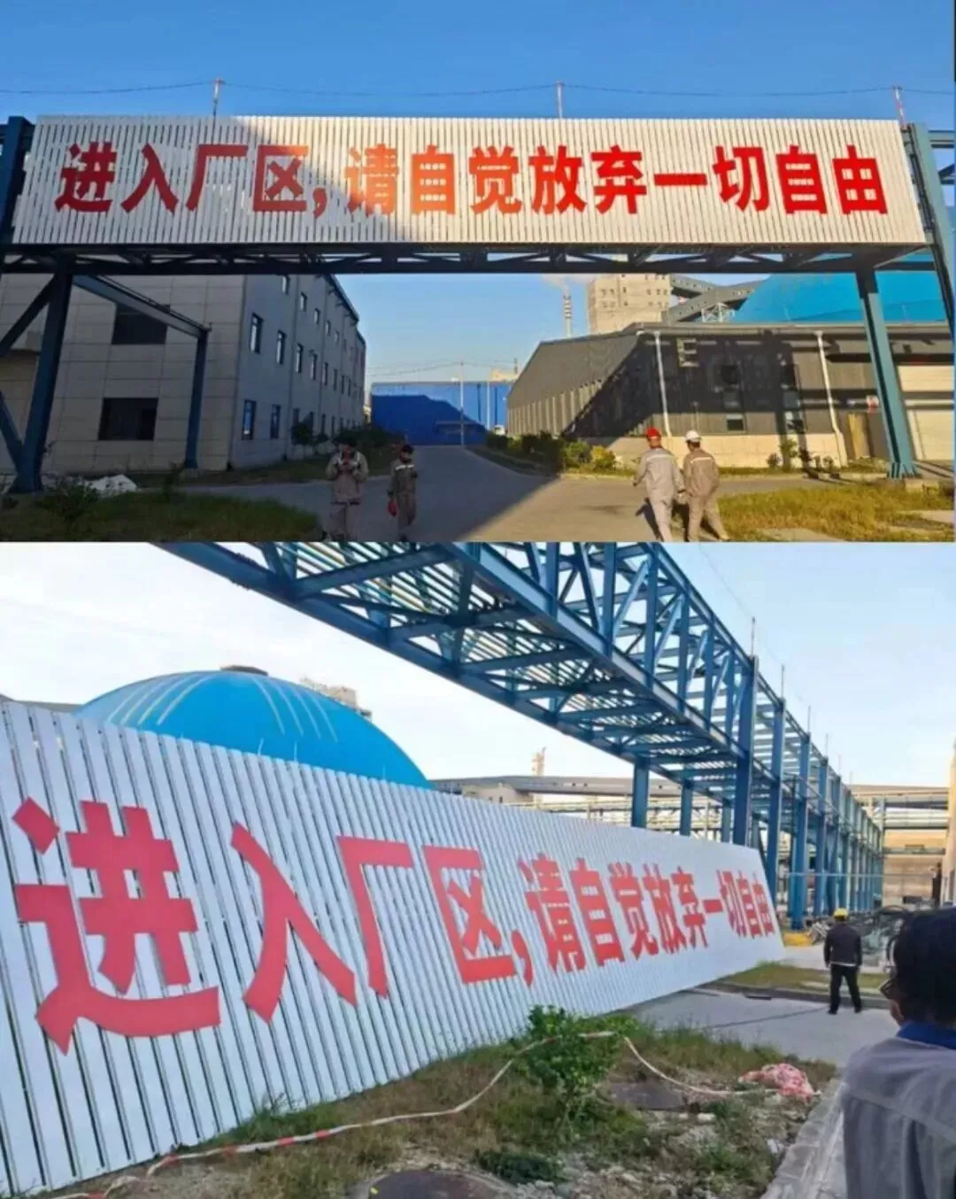 以自由換取麵包,終將失去自由和麵包