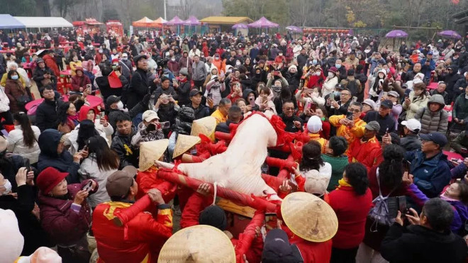 景区千人年猪宴场场爆满：40元19个菜 现宰黑猪