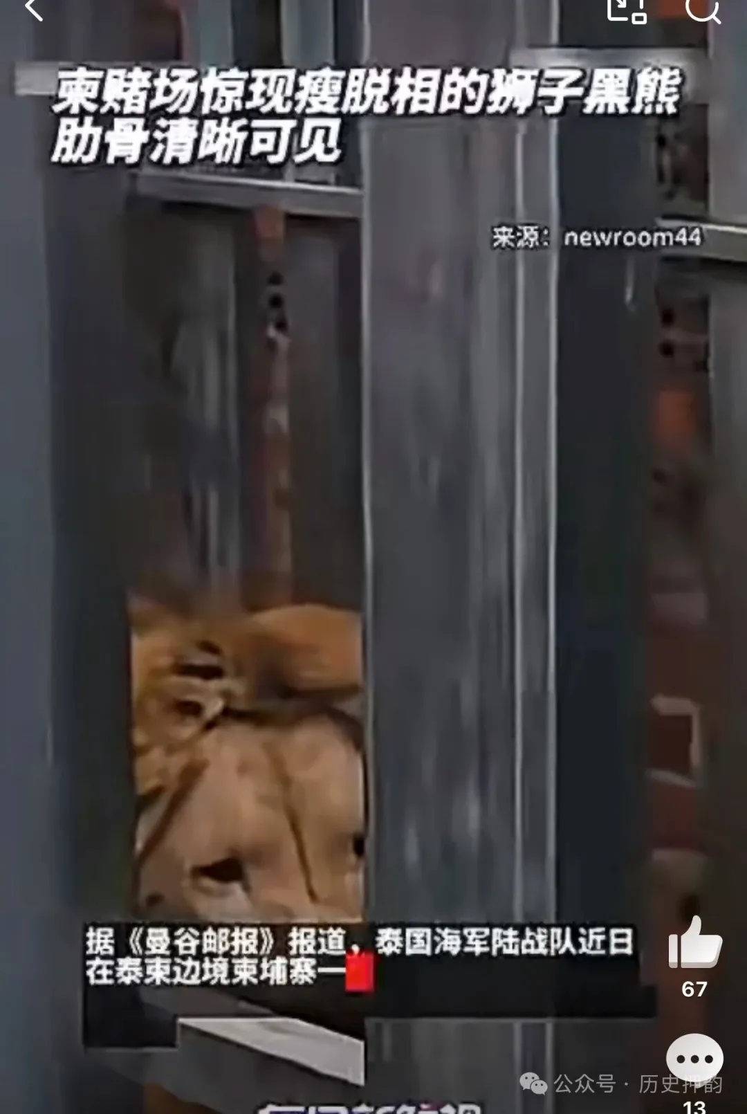 ​柬埔寨的打法越来越像哈马斯了