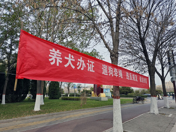 最严养犬规定上路 脑洞大开推“行狗记录器”