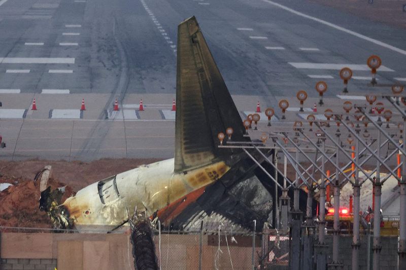 遭5万只鸟击！济州航空179死 机长绝望对话首曝光