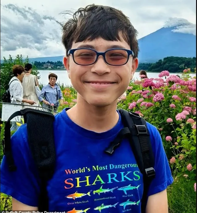 紧急寻人!15岁华裔男孩赴纽约失联 妈妈含泪求助