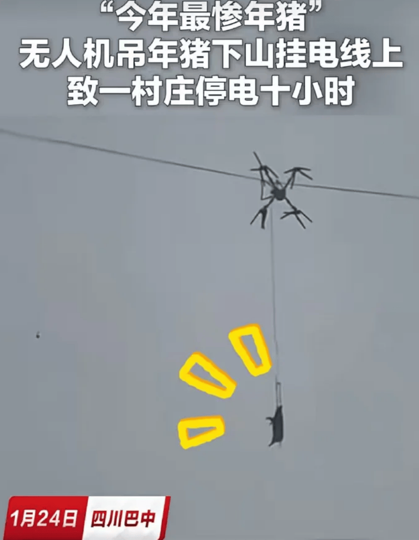 高科技接地气 无人机飞猪 机械狗拉货