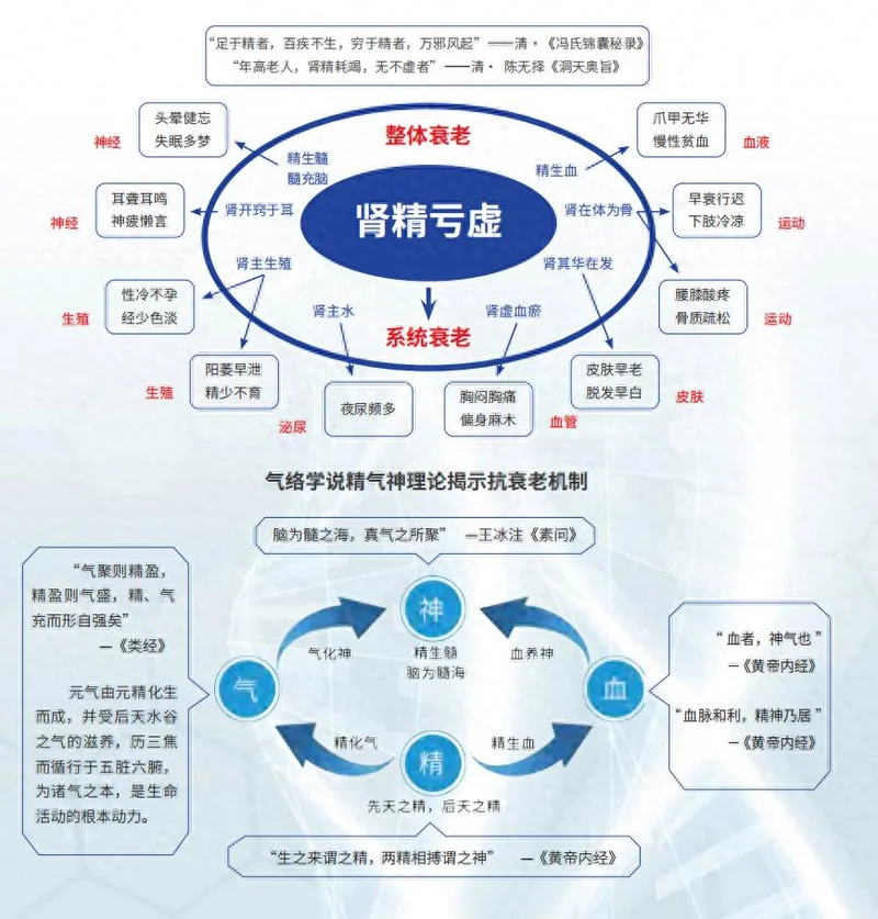 衰老真的可干预?这项科研成果给出硬核答案