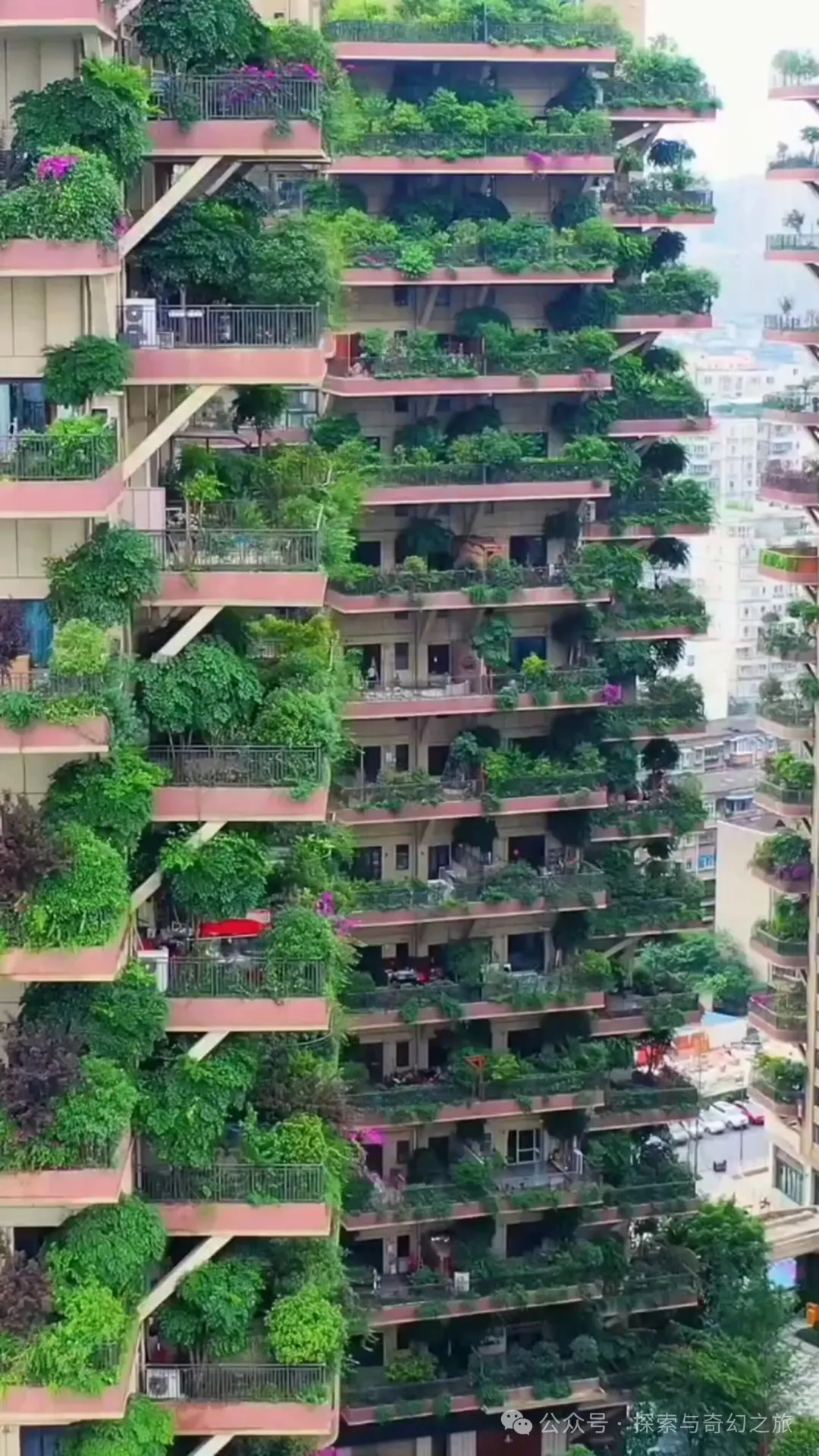 住进成都“空中森林”3年，从狂喜到崩溃 - 大陆资讯 - 倍可亲