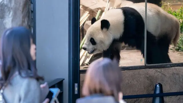 中国正打击日本的痛处，但高市早苗会屈服吗？