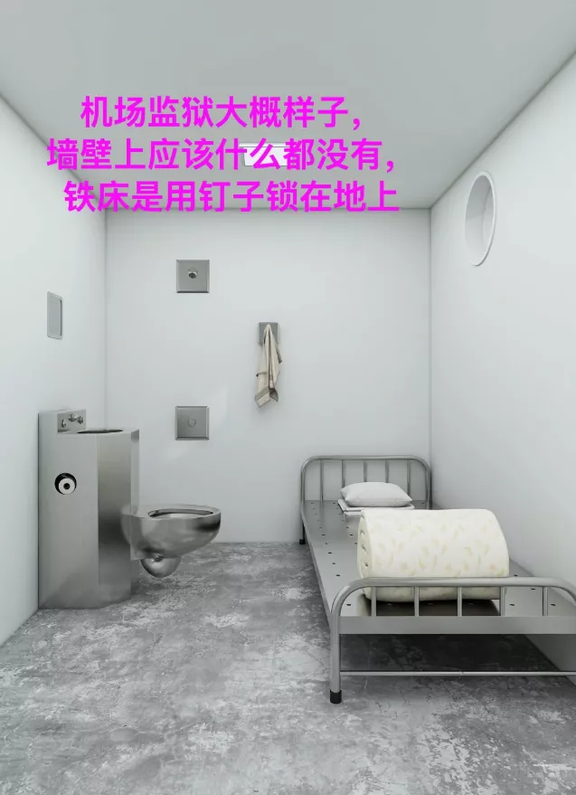 H1B华人返美关小黑屋遭遣返 因系统示"活跃选民"