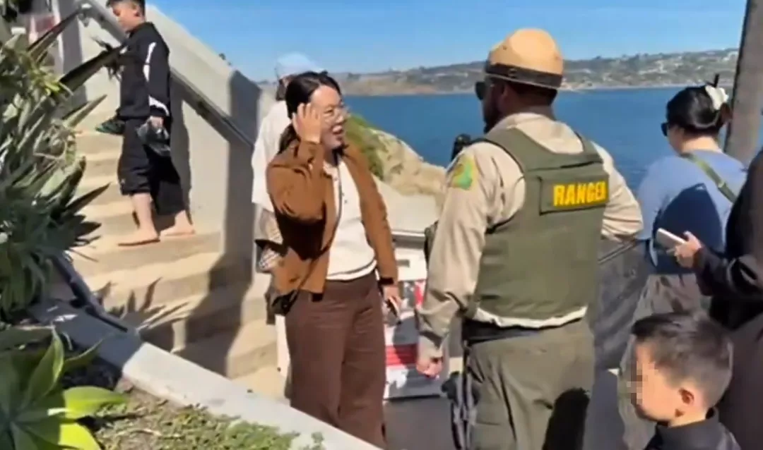 中国游客向海狮投掷石块被驱离 事件发酵引热议！