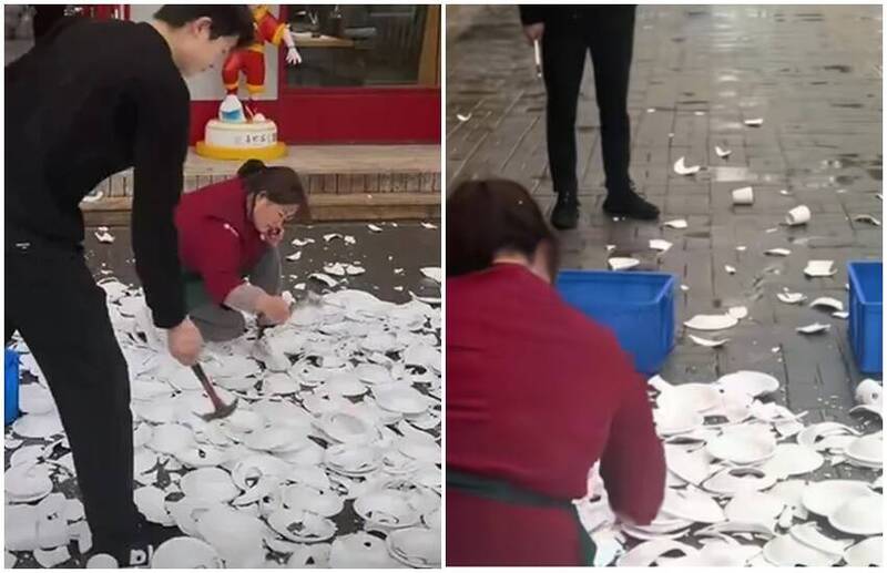 顾客带狗狗到餐厅拍照后 老板砸烂600套盘子…