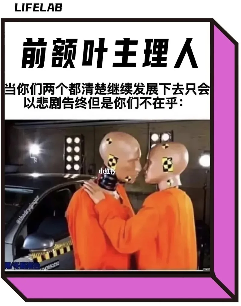 前额叶长得好 成了相亲顶配