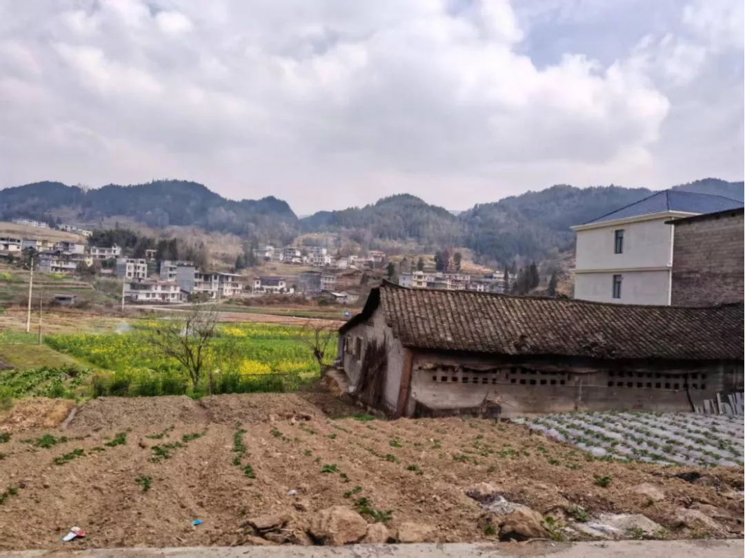 大山深处，那些靠百元养老金扛过疼痛的老人