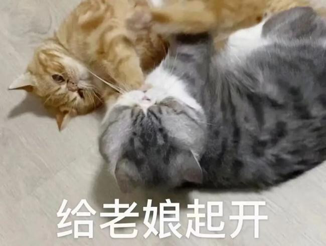 一个家庭能不能过好，看妻子的状态就知道