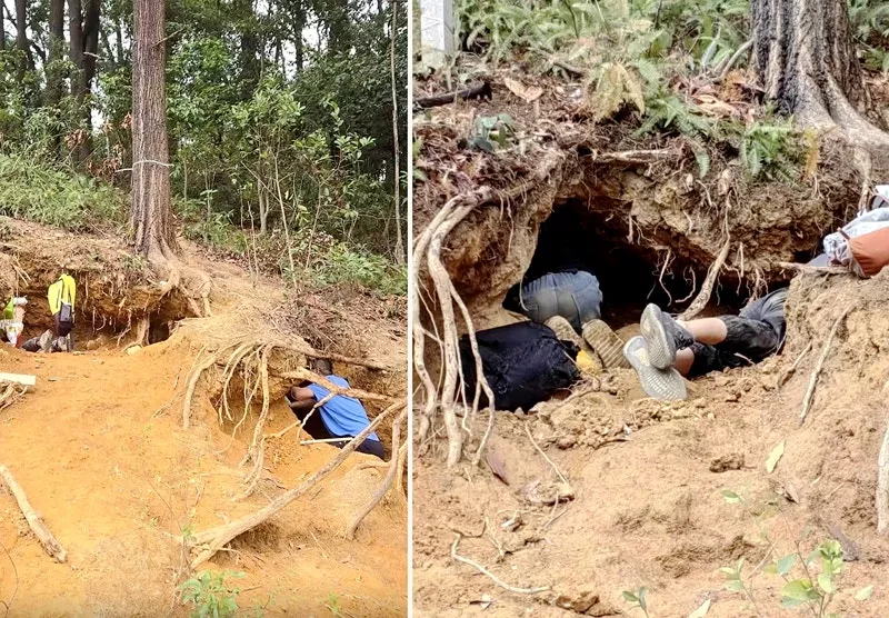 广州现挖水晶乱象 树根被掏空恐致山崩