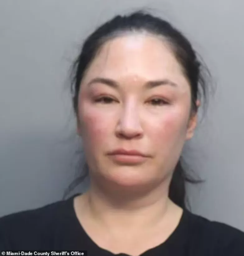 亚裔女拒挂断电话引发机舱混乱全机崩溃 航班延误
