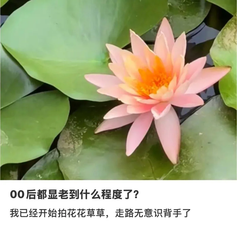 00后初老症状12条:搓脸、抱腿、嘴角倒沫