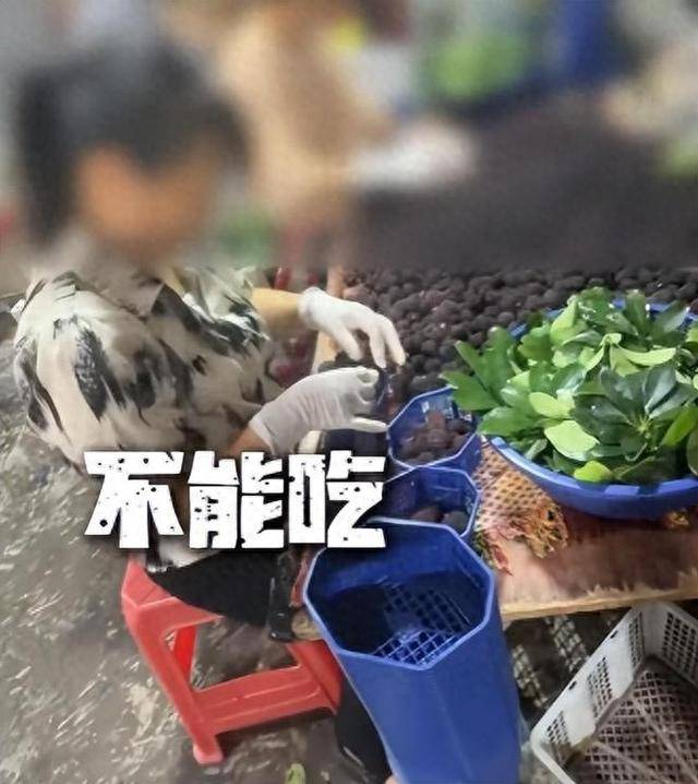 泡8000倍甜味剂！这水果塌房， 工人：我不敢吃